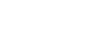light logo